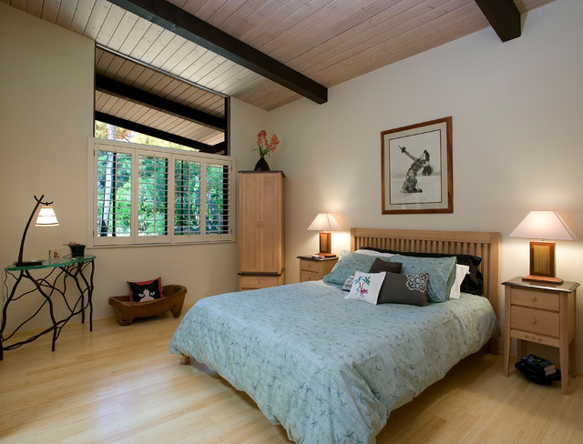 Foothill Lane - Santa Barbara transitional-bedroom