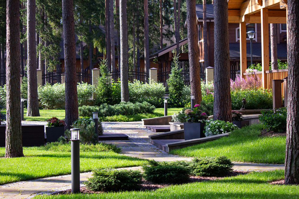 Еловая аллея