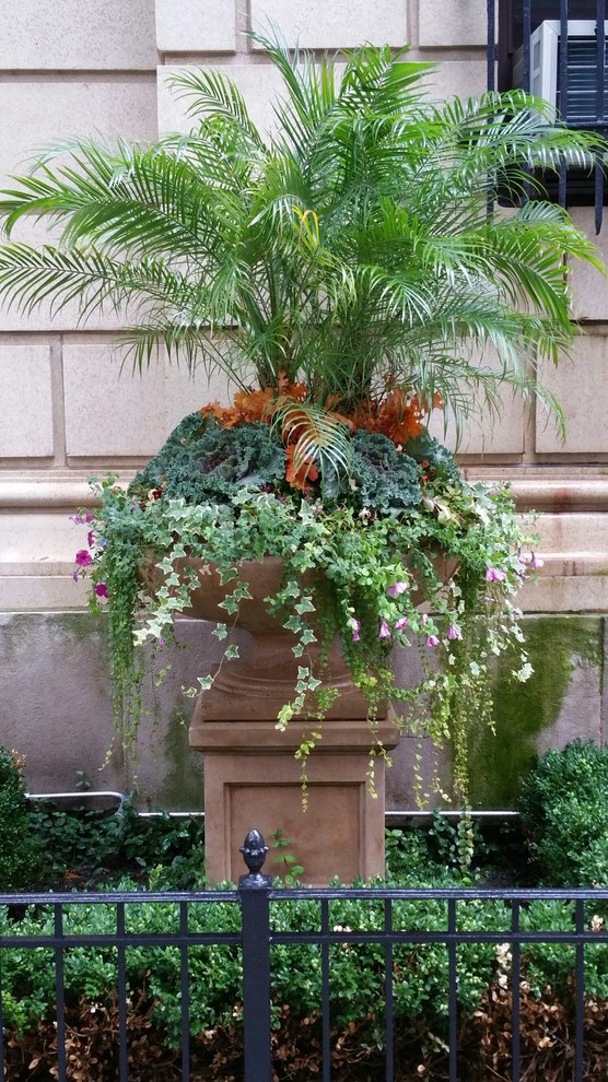 This is an example of a transitional garden in Chicago.