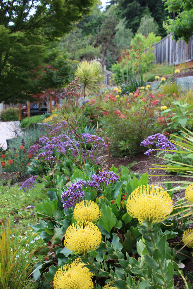 Scotts Valley Terraced Garden