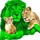 Green Lion Lawn Care LLC