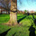 andras_belan11