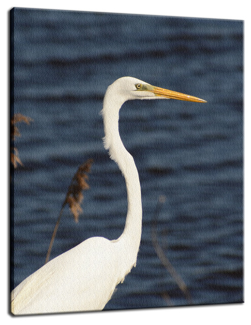 Great White Egret Wildlife Photography Fine Art Canvas Wall Print 11 X14