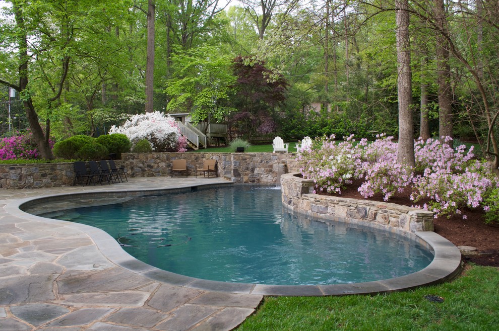 Design ideas for a traditional pool in Charlotte.