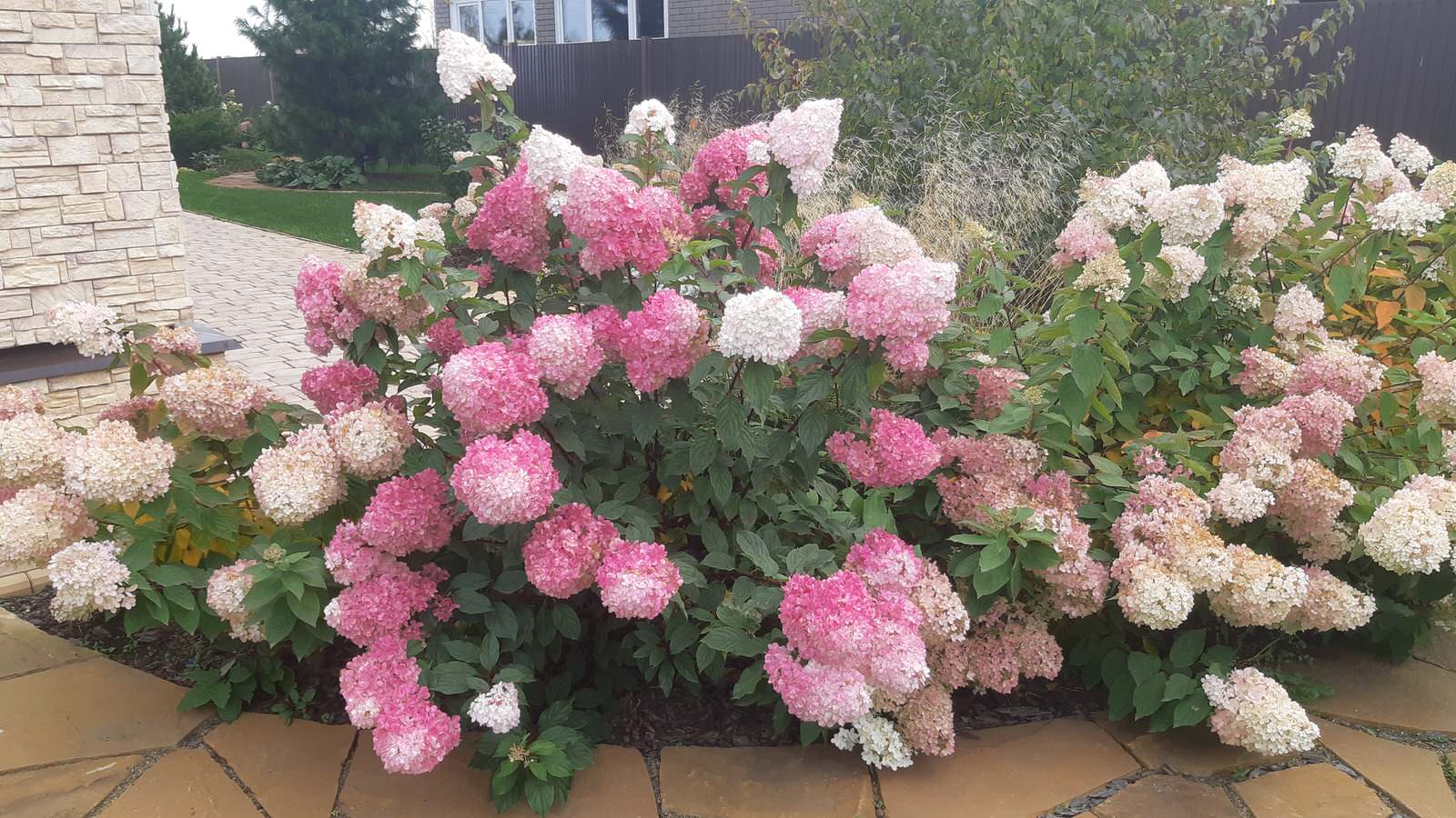 Серебрянный бор - 1