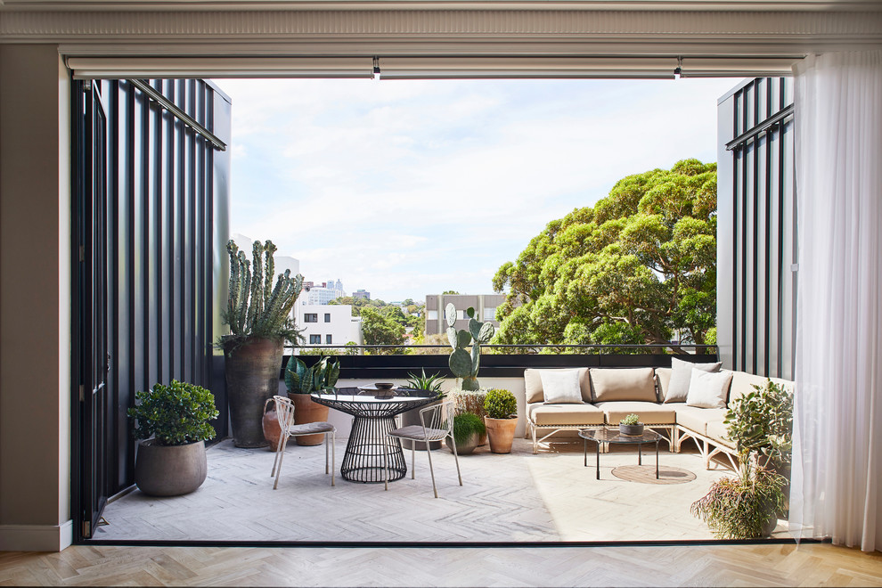 Mid-sized contemporary balcony in Sydney with metal railing and no cover.