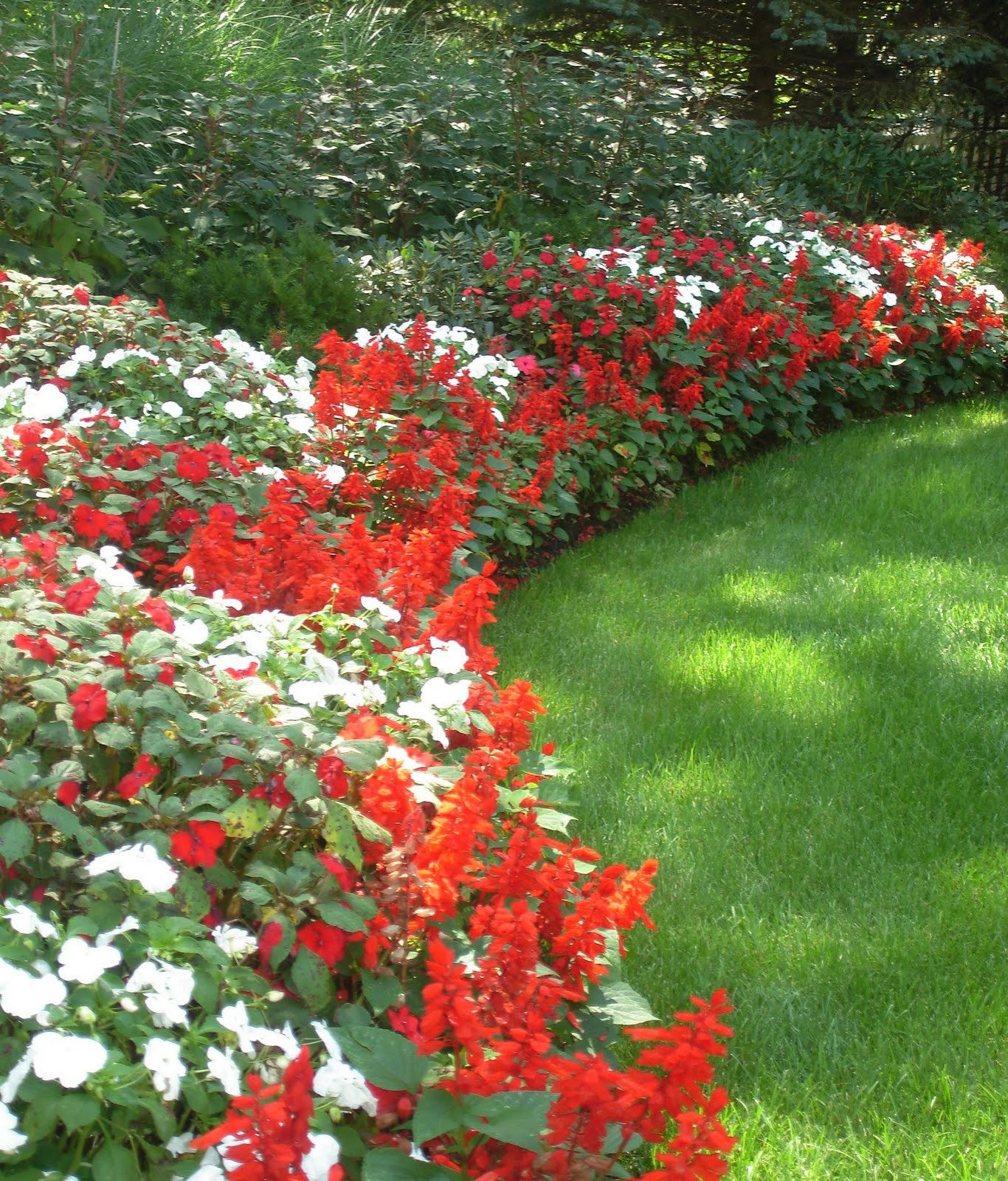Flower Beds and Borders