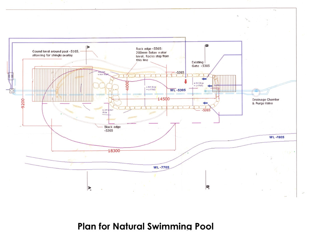 Plan for natural swimming pool