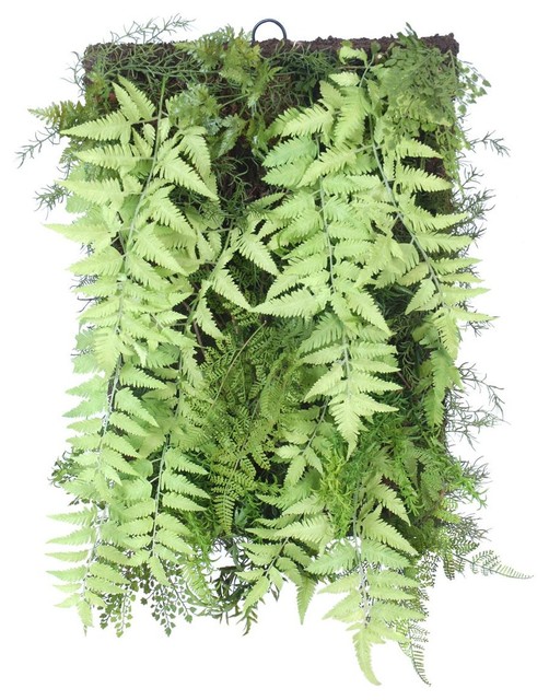 Fern Artificial Plant Wall Accent, 41x61 cm