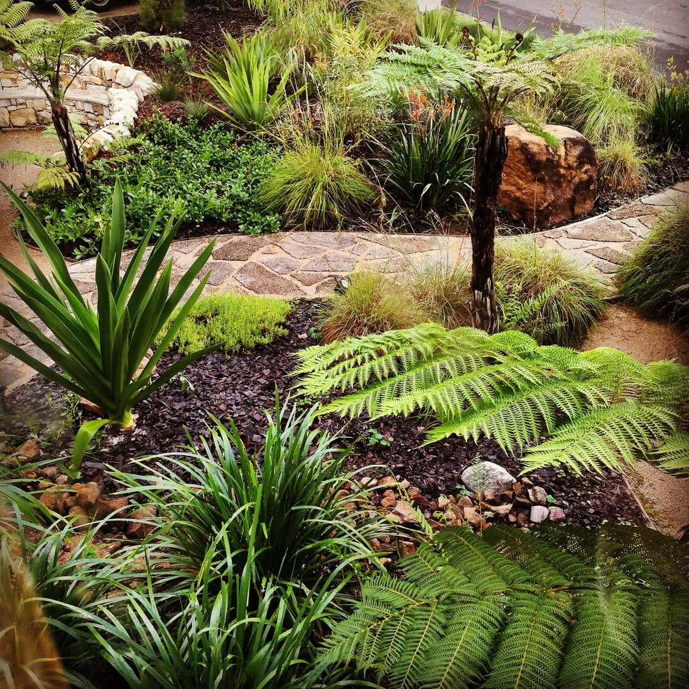 Photo of a mid-sized and australian native country front yard full sun xeriscape in Sunshine Coast with a garden path and concrete pavers.