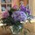 Last commented by Carolyn Benish