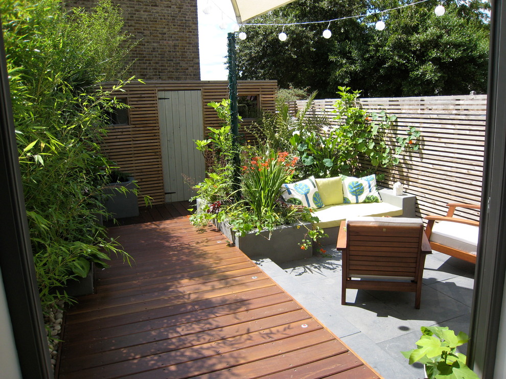 This is an example of a small contemporary courtyard garden in London.