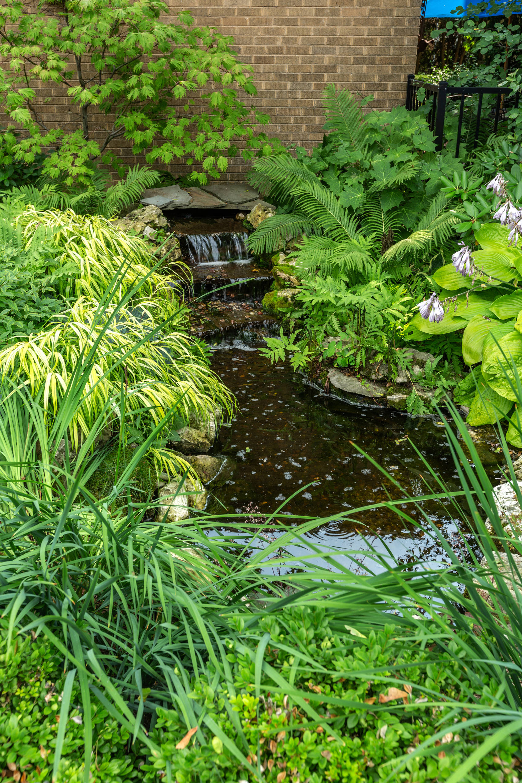 Natural Pond - Milwaukee