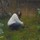 lee_wenman