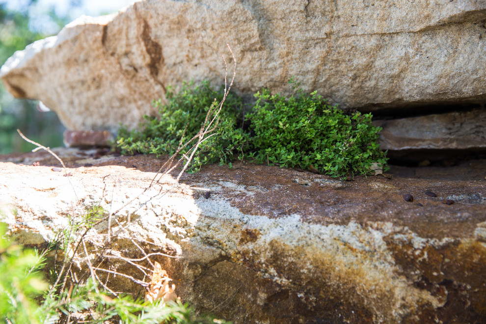 Сад Прометей - Сад, пробуждающий чувства -  The Garden that awakens feelings