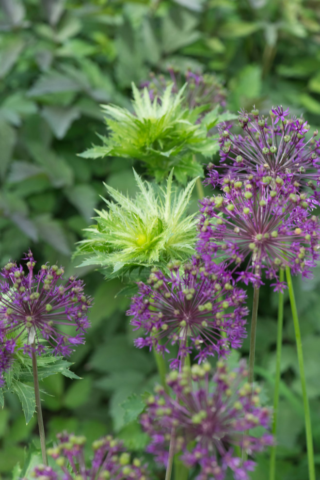 Большой сад в пригороде