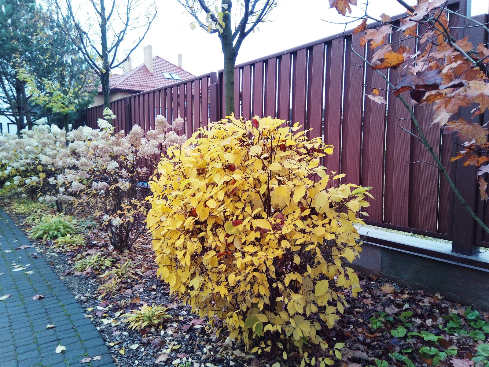 кп "Мартемьяново" - Профессиональный уход за садом - 100% качество!