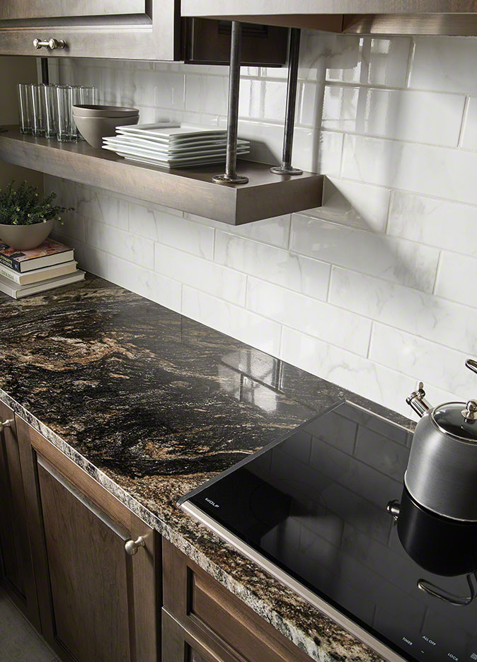 Kitchen - transitional kitchen idea in Orange County