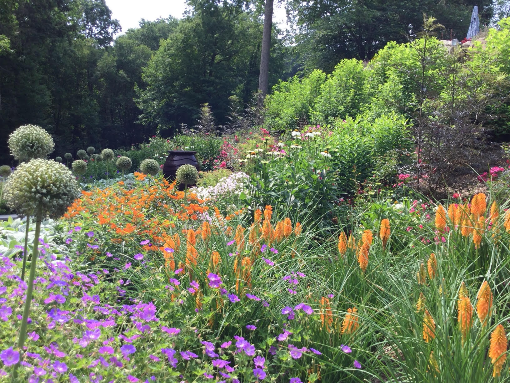 2nd Year Planted Perennial Garden in Pound Ridge, NY