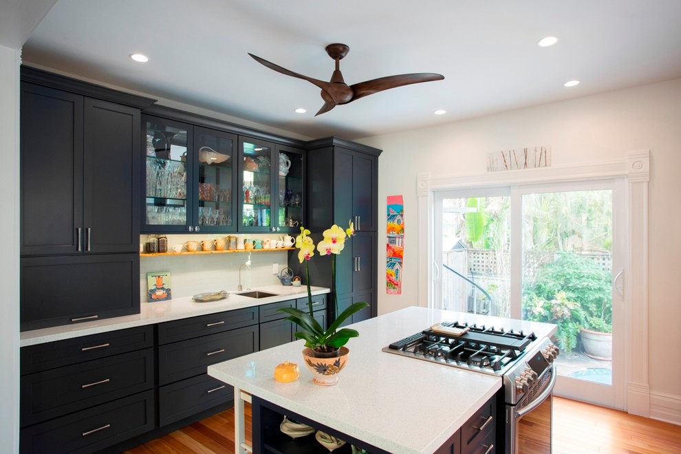 Kitchen - transitional kitchen idea in Miami