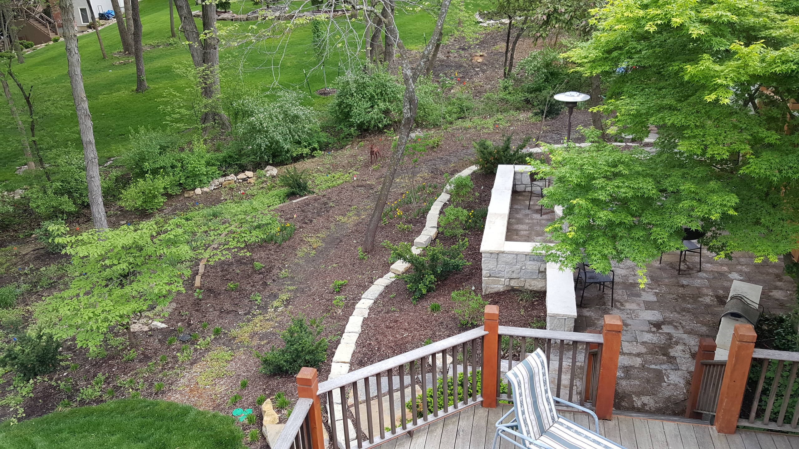 WOODLAND HILLSIDE