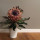 clare_kalinka