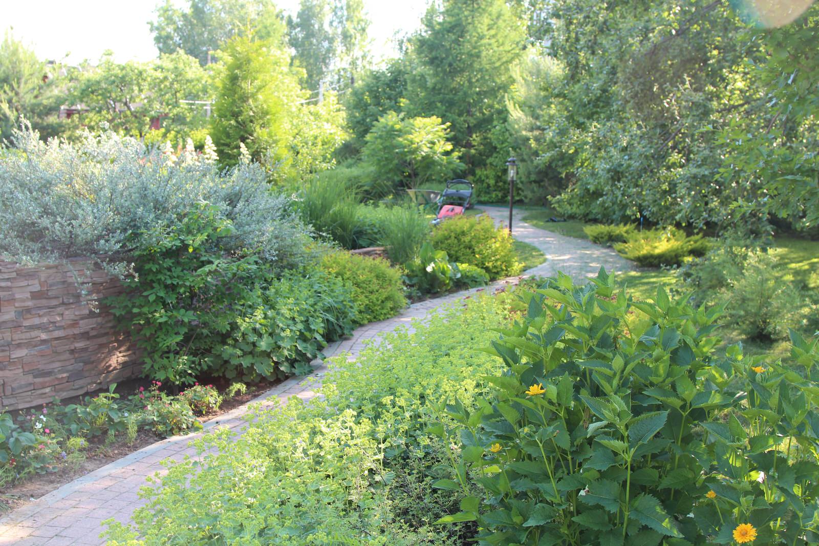 Ландшафтный дизайн загородного участка