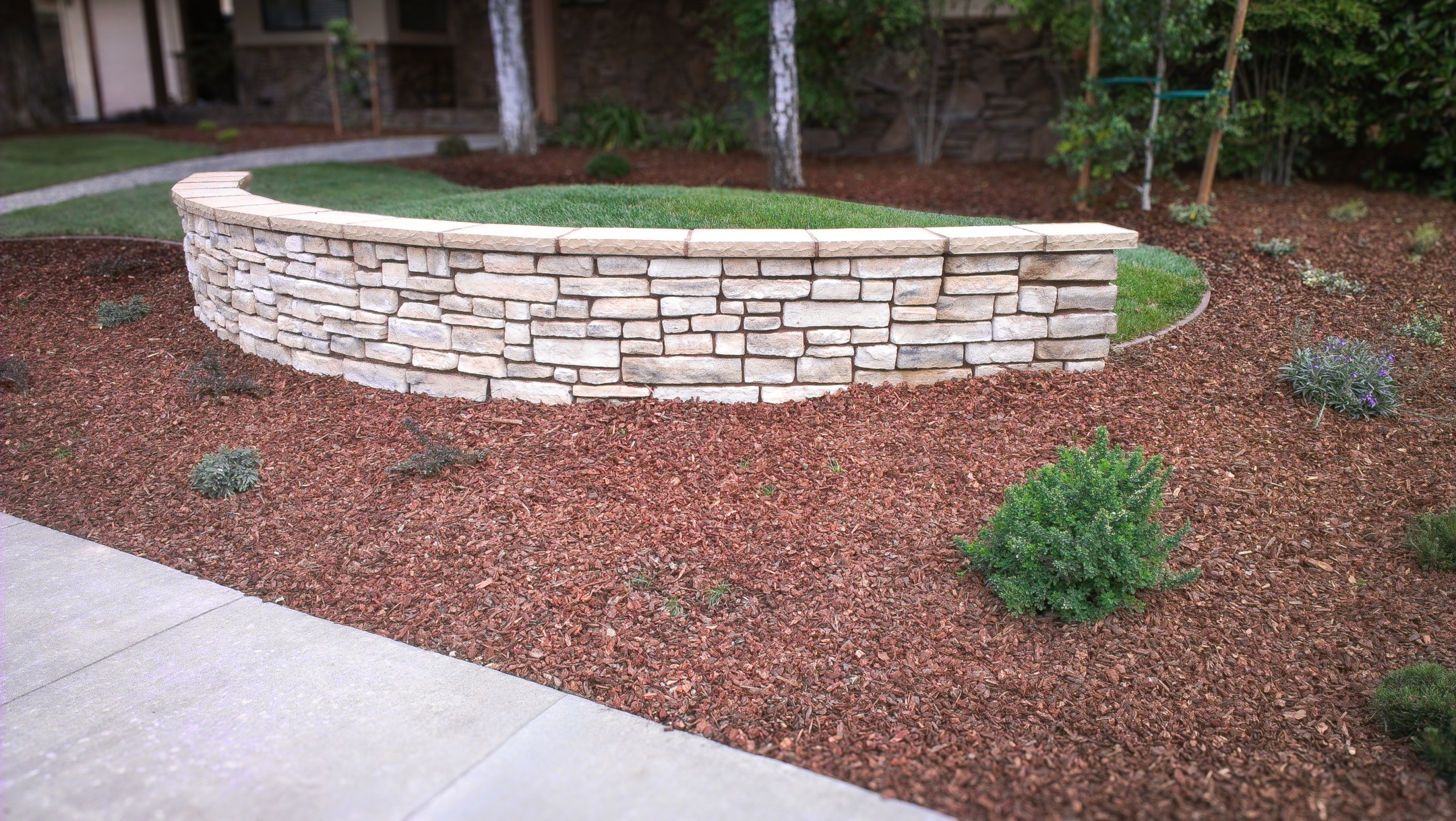 Stone Wall Detail: Cream Stonework and New Garden Bed