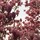 purpleisland