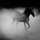 Last commented by Sadia H
