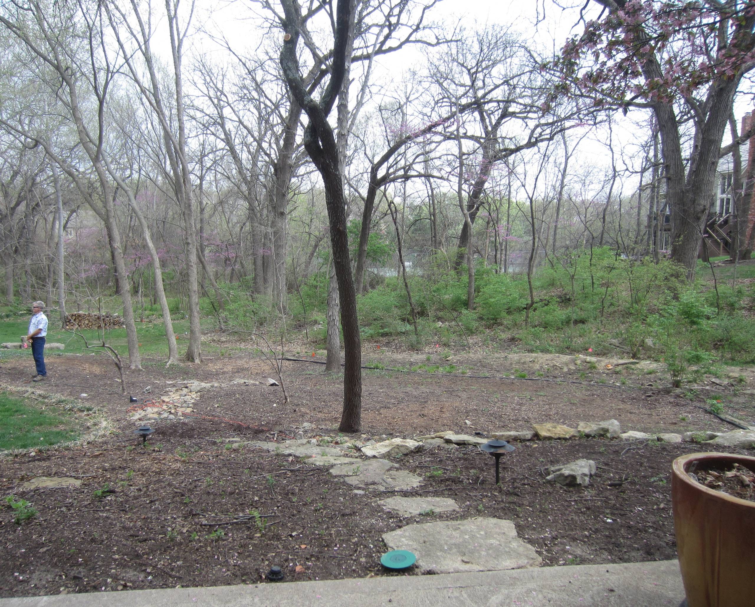 WOODLAND HILLSIDE