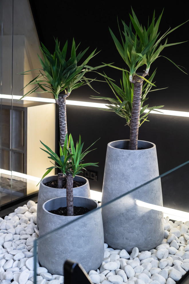 Две стороны одной мансарды