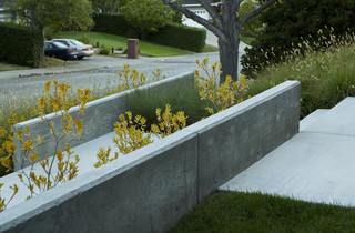 Front Yard Retreat - Modern - Landscape - San Francisco - by Shades Of