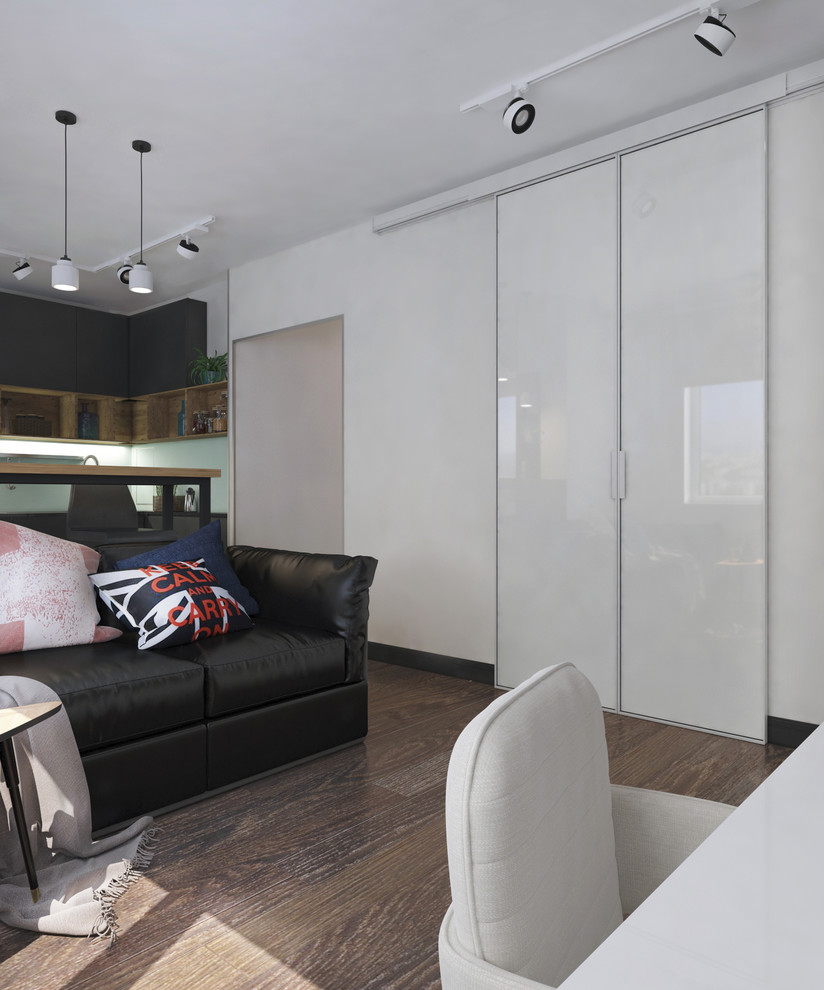 Интерьер гостиной студийного типа в однокомнатной квартире