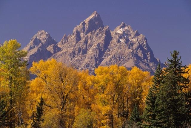 Autumn Color in Grand Teton National Park Wall Mural - 18 Inches W x 12 Inches H
