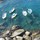 jennifer_gargiulo
