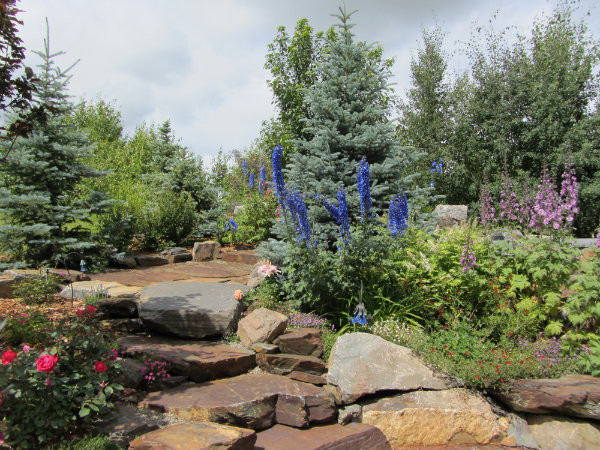 Outdoor Oasis Landscape Design