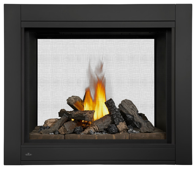 Napoleon Bhd4stn Ascent Multi View Direct Vent Gas Fireplaces