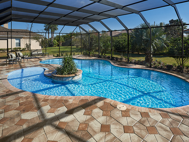 Estuary of Mobbly Bay | Tampa, FL - Pool - Tampa - by Meritage Homes