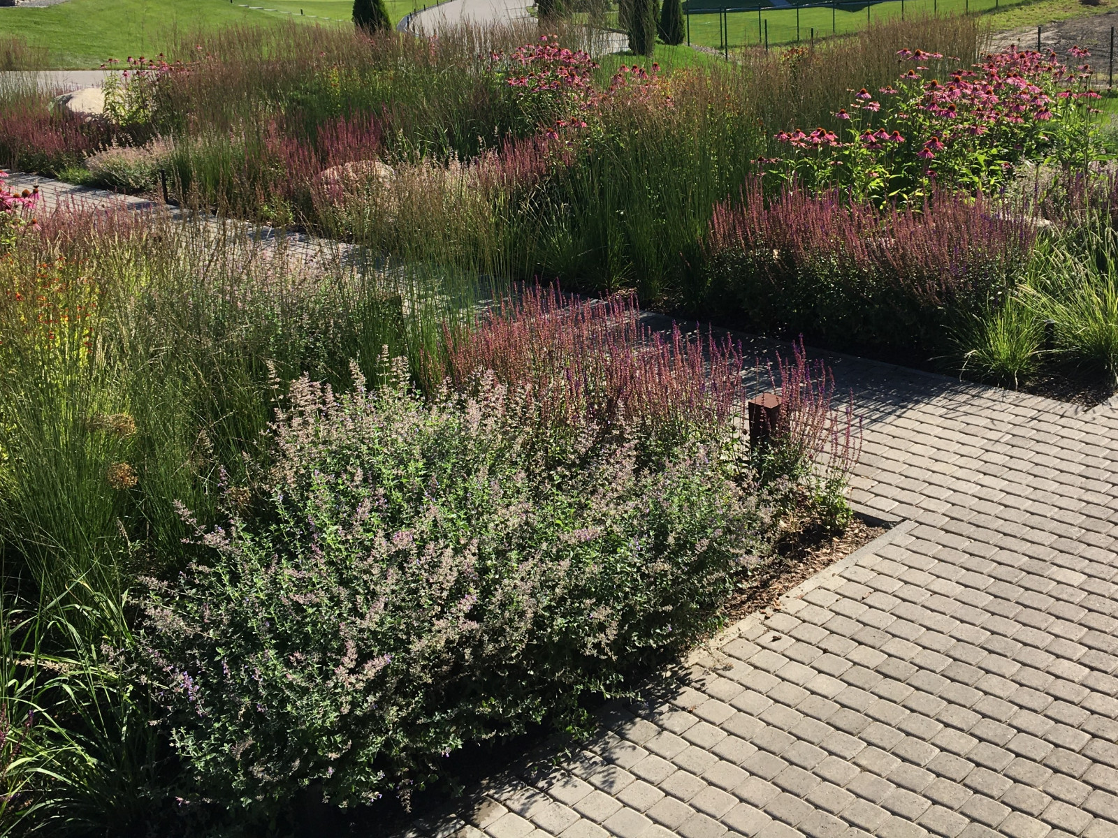 Ландшафтный дизайн