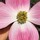 Last commented by Cindy Beilfuss