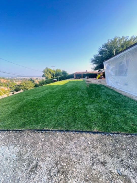 Fresh Front Yard with Irrigation