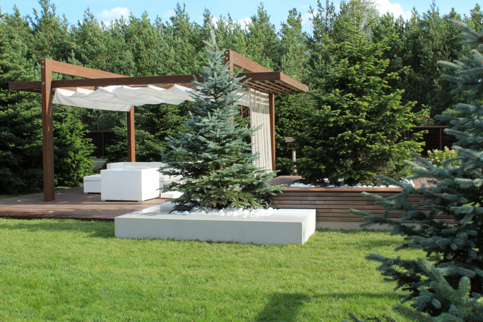 Черноголовка