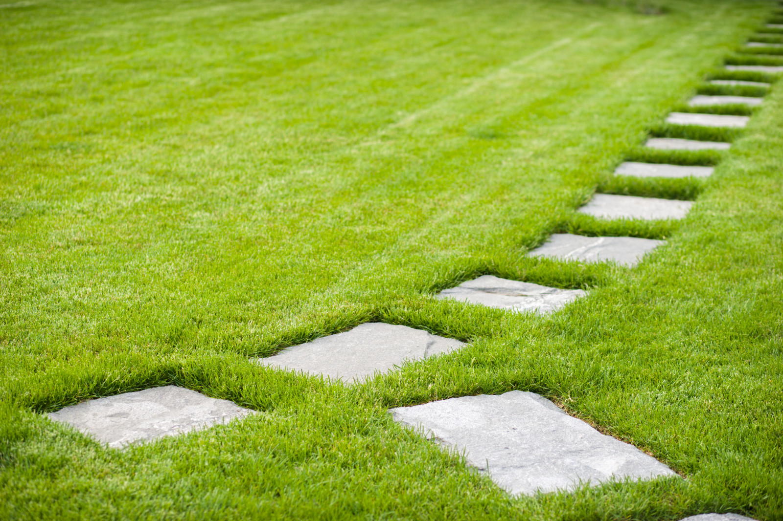 Пошаговая дорожка