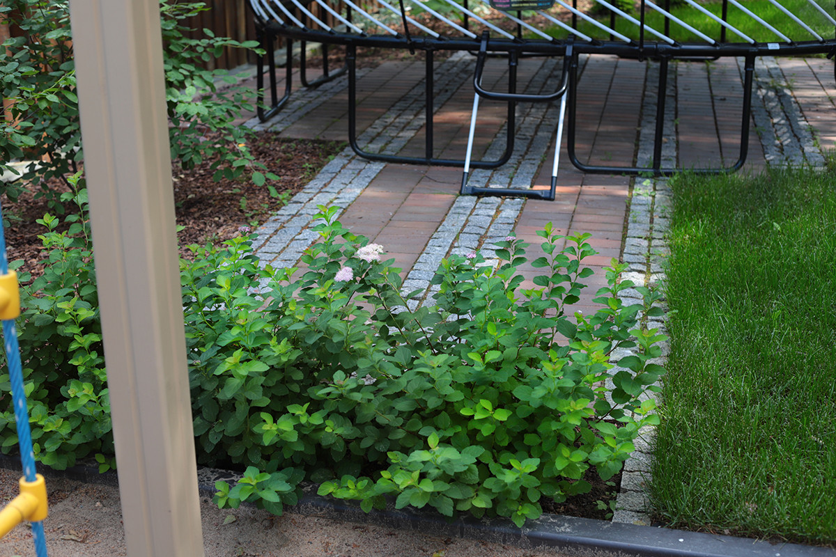 Солнечный берег