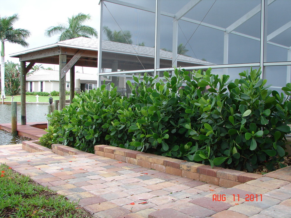 Our Work Bord de Mer Miami par Evergreen Irrigation & Landscaping Houzz