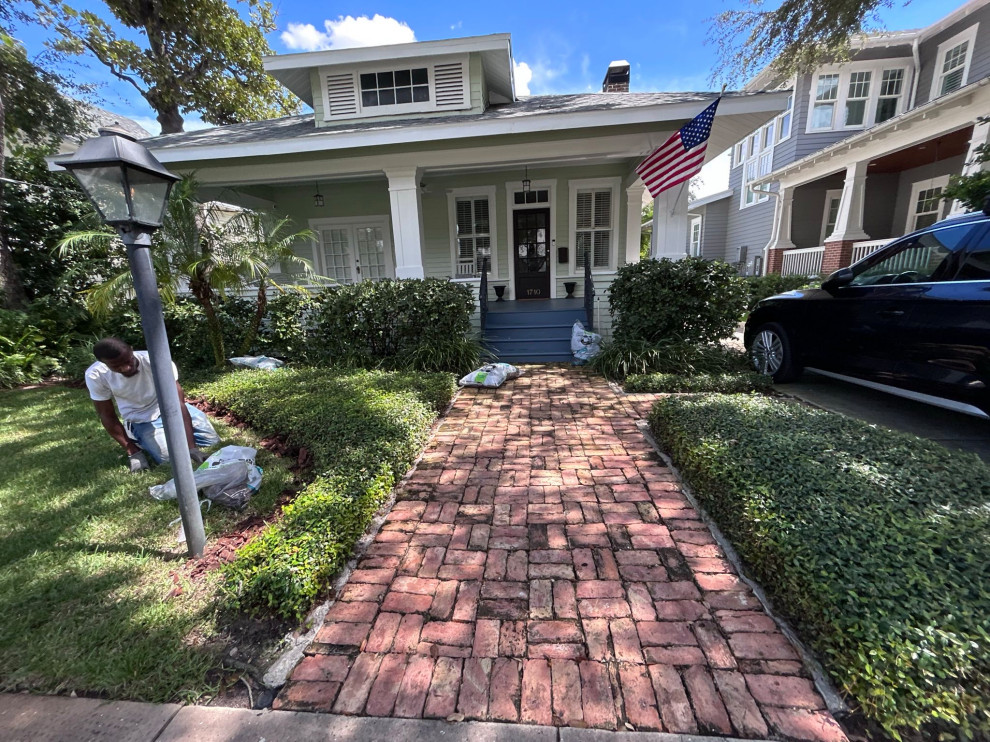 Front and Back Yard Landscape Renovation