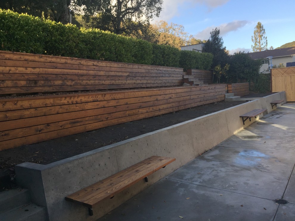 Novato Backyard Remodel