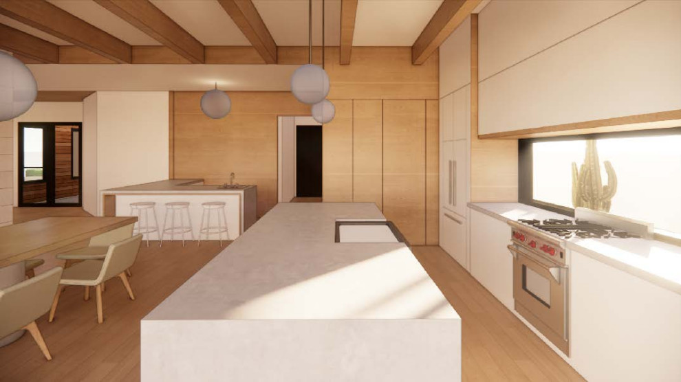 Desert Modern
