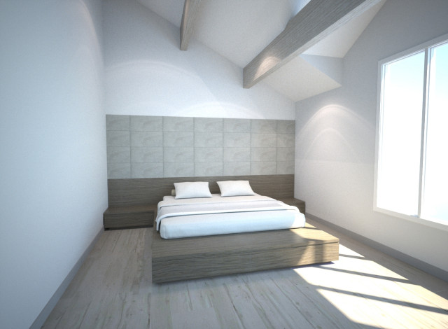 Quick Rendering - Primary Bed Concept Two transitional